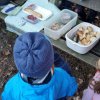 02 Aktion Februar 25 Tiere im Winterwald